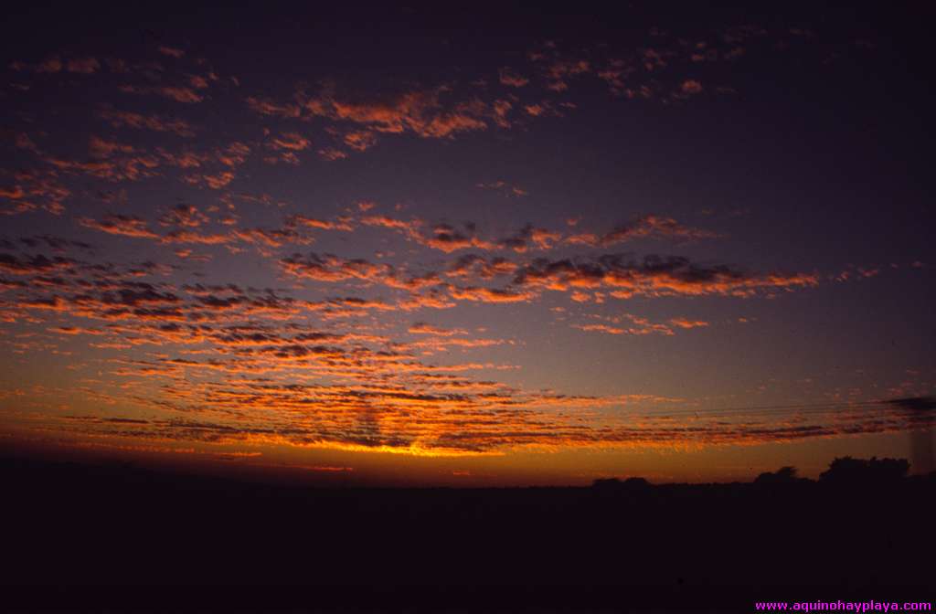 1989.07.01_BRASIL_015-Pantanal.jpg