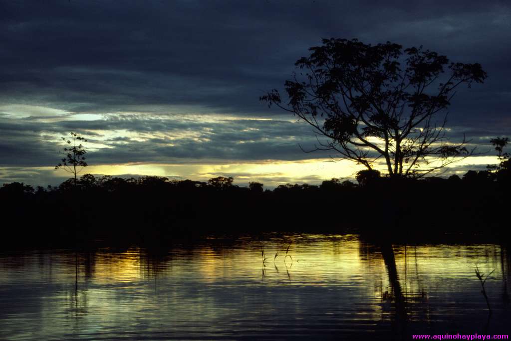 1989.07.01_BRASIL_038-Amazonas.jpg