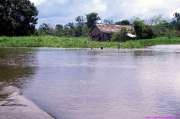 1989.07.01_BRASIL_024-Amazonas.jpg