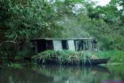 1989.07.01_BRASIL_045-Amazonas.jpg