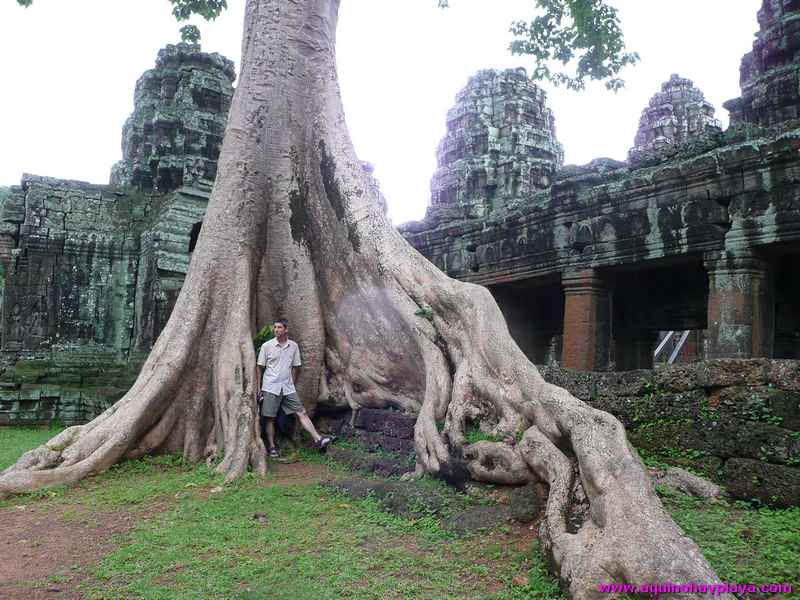 2007_07_15-CAMBOYA_075-ANGKOR_BanteayKdei.jpg