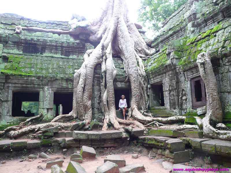 2007_07_15-CAMBOYA_086-ANGKOR_TaProhm.jpg