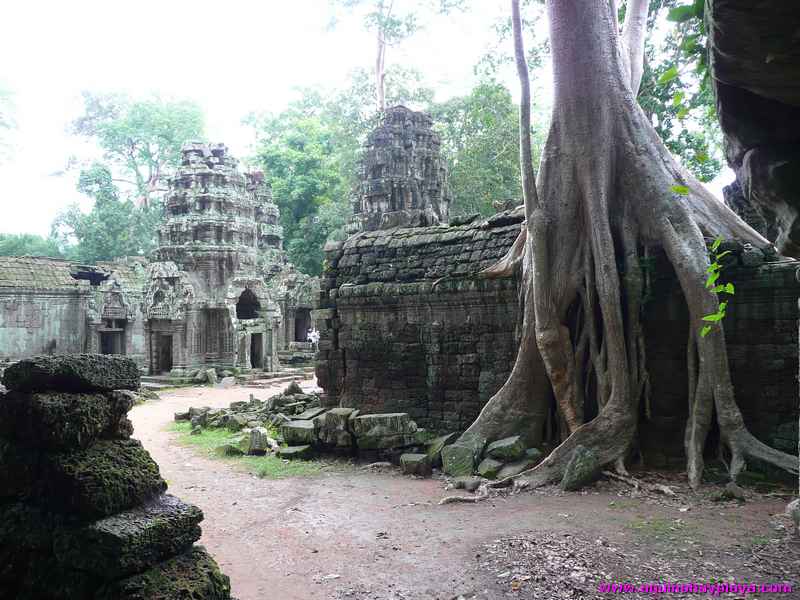 2007_07_15-CAMBOYA_095-ANGKOR_TaProhm.jpg