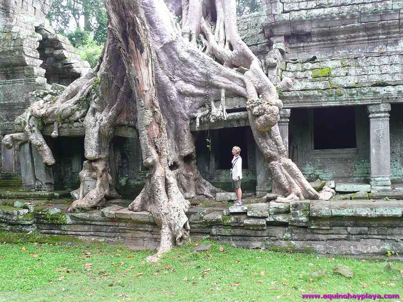 2007_07_15-CAMBOYA_106-ANGKOR_PreahKhan.jpg