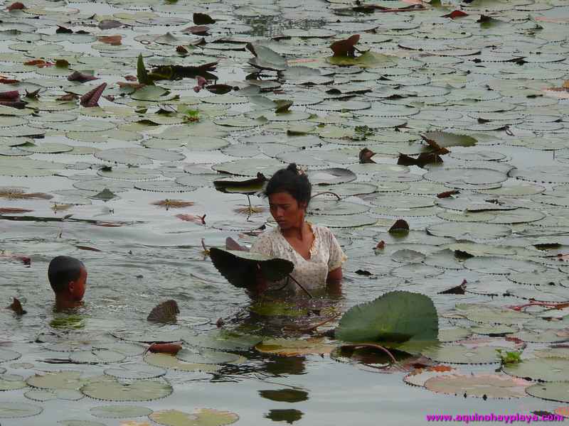 2007_07_15-CAMBOYA_109-ANGKOR.jpg