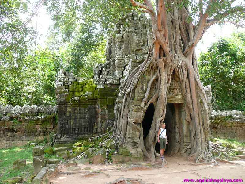 2007_07_15-CAMBOYA_133-ANGKOR_TaSom.jpg