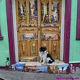 2011_07_01-236-CHILE-Valparaiso.jpg