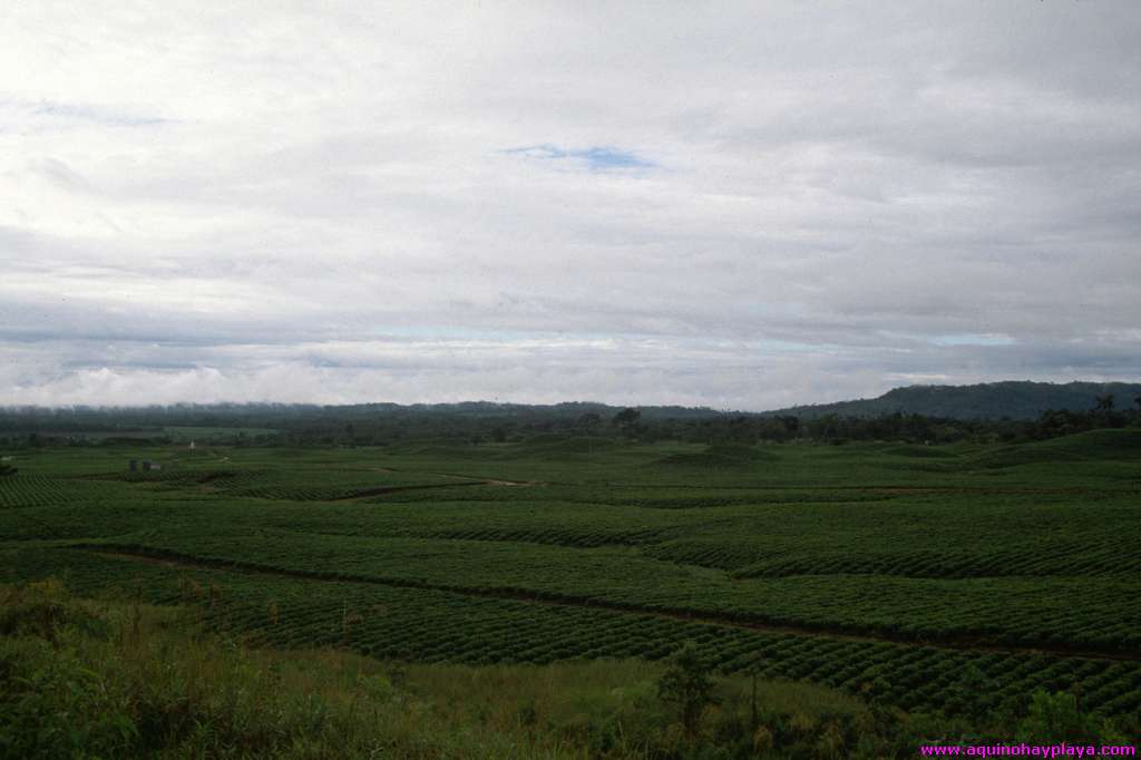 1990_07_ECUADOR_065-Puyo.jpg