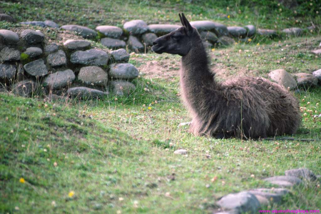 1990_07_ECUADOR_091-Ingapirca.jpg