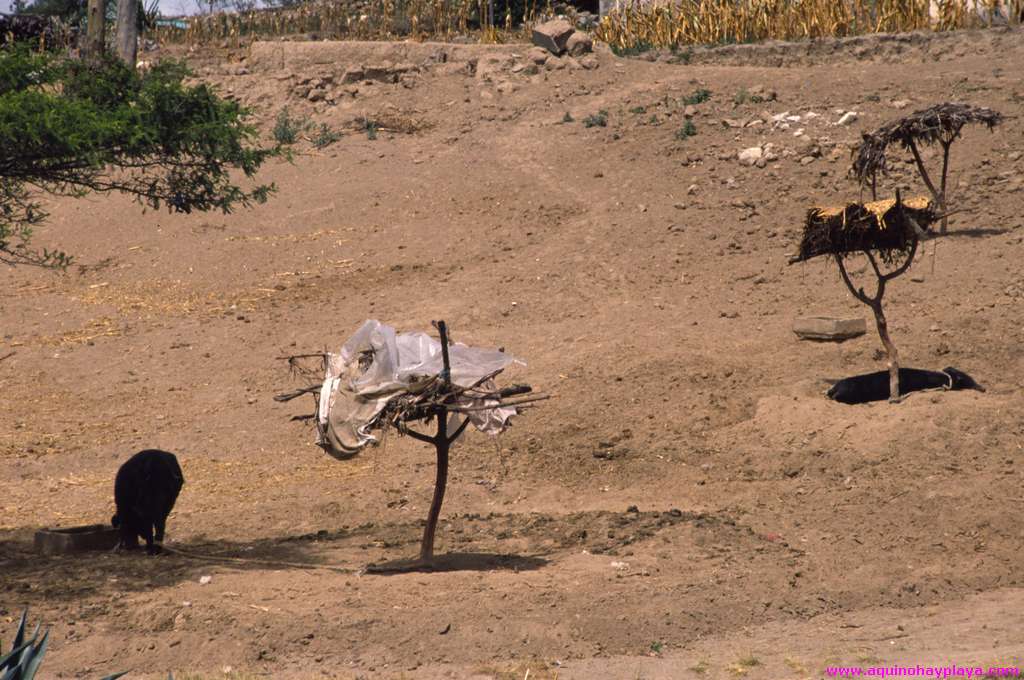 1990_07_ECUADOR_125.jpg