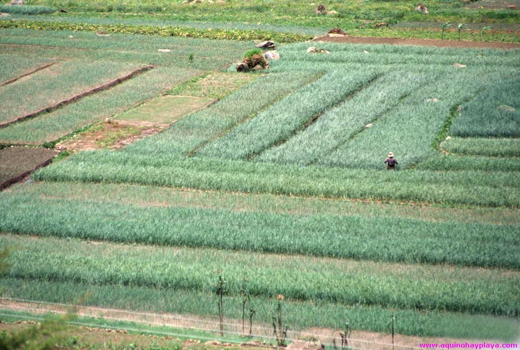 1992.07.01_055_GUATEMALA-Atitlan.jpg