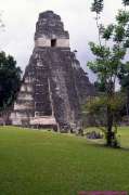 Thumbnail of 1992.07.01_068_GUATEMALA-Tikal.jpg