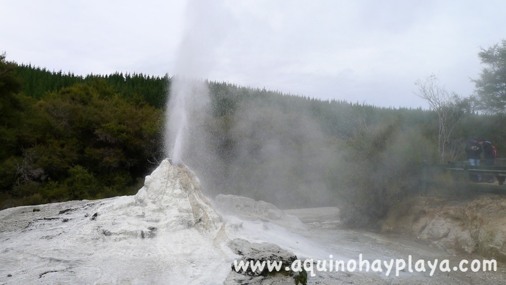 2014_07_09-044-NUEVA_ZELANDA-WaiOTaipu.JPG