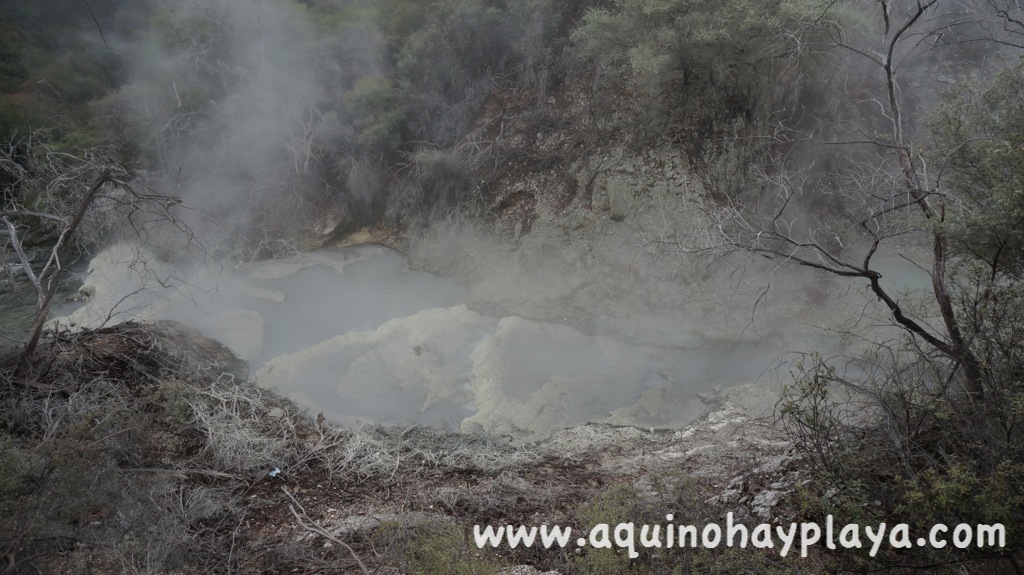 2014_07_09-045-NUEVA_ZELANDA-WaiOTaipu.JPG