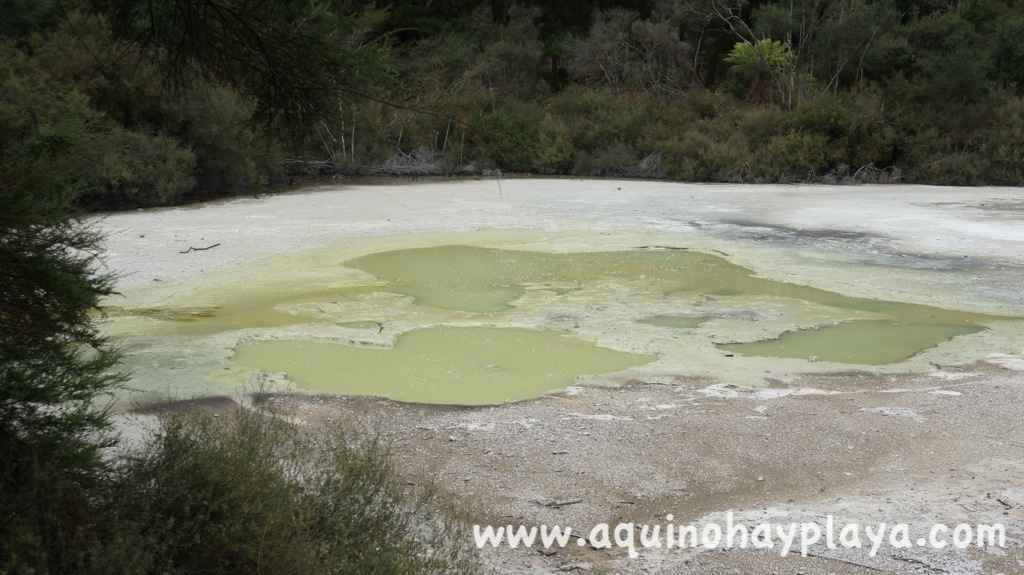 2014_07_09-054-NUEVA_ZELANDA-WaiOTaipu.JPG