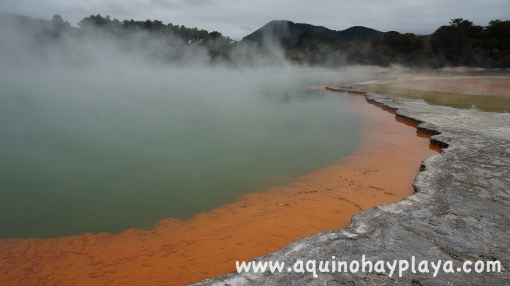 2014_07_09-069-NUEVA_ZELANDA-WaiOTaipu.JPG