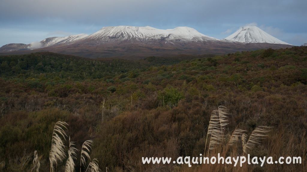 2014_07_09-086-NUEVA_ZELANDA-Tongariro.JPG