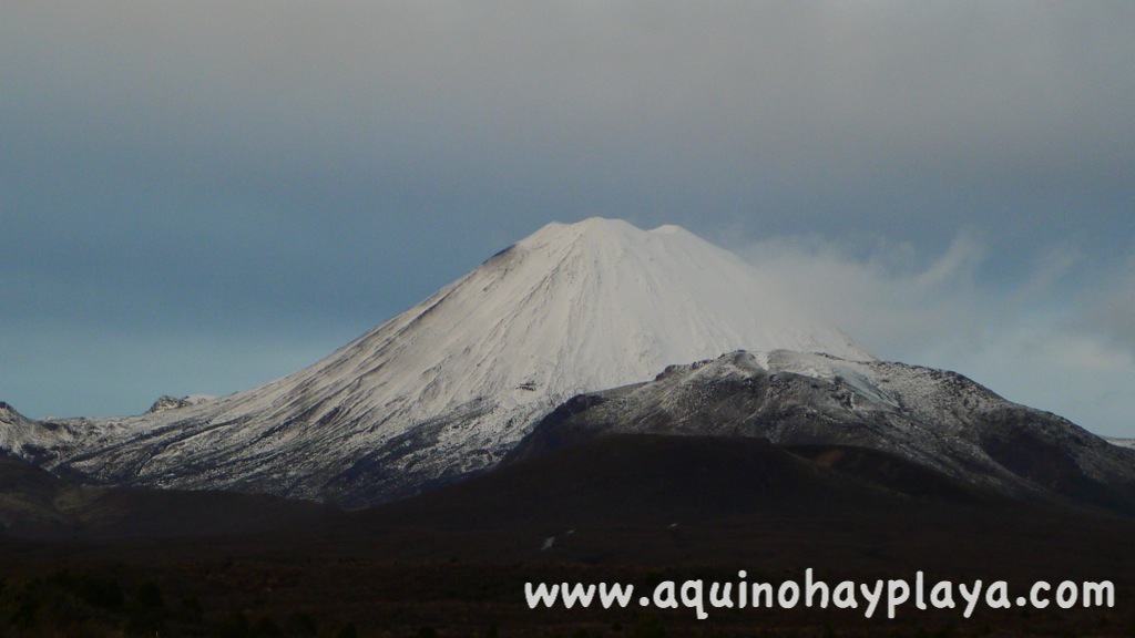 2014_07_10-088-NUEVA_ZELANDA-Ngaurohe.JPG