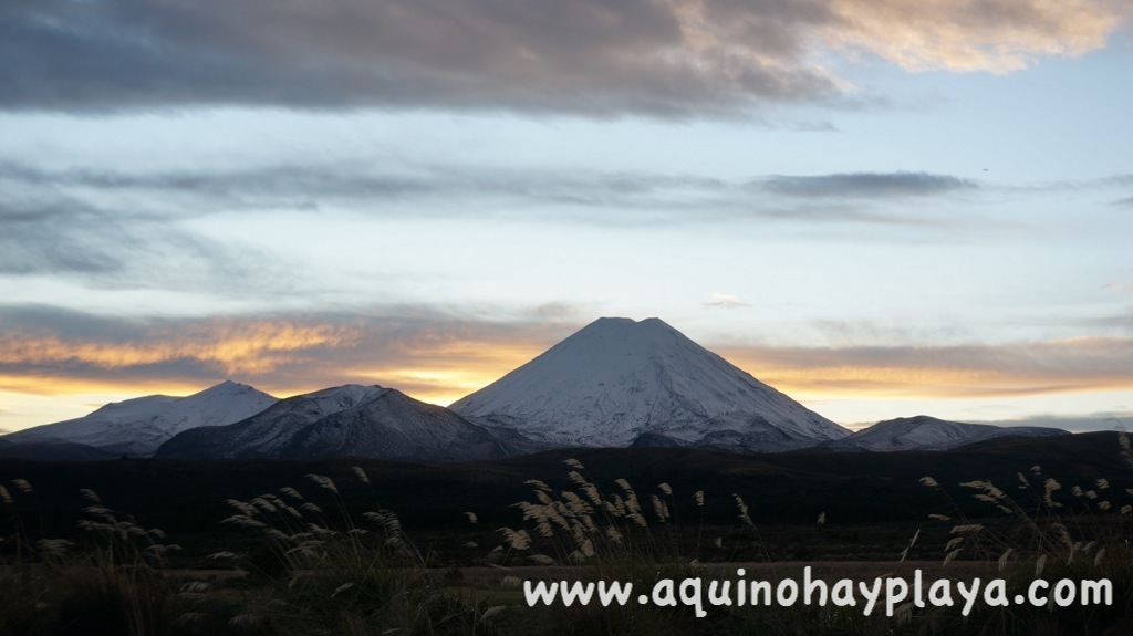 2014_07_10-091-NUEVA_ZELANDA-Ngaurohe.JPG