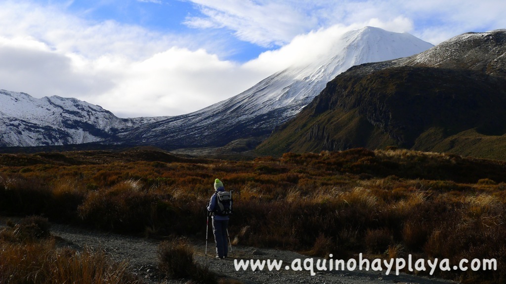 2014_07_10-096-NUEVA_ZELANDA-Tongariro.JPG