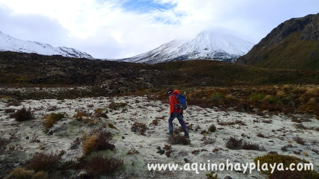 2014_07_10-097-NUEVA_ZELANDA-Tongariro.JPG