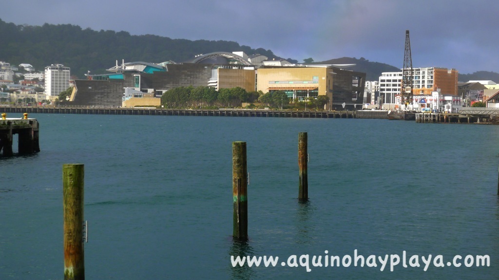 2014_07_13-130-NUEVA_ZELANDA-Wellington.JPG