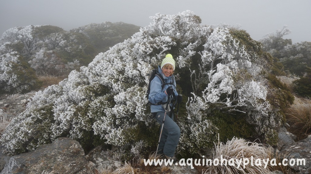 2014_07_15-154-NUEVA_ZELANDA-Stokes.JPG