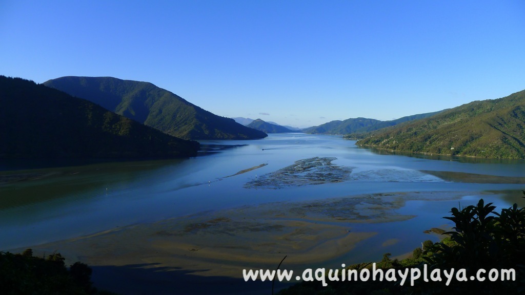 2014_07_15-170-NUEVA_ZELANDA-Kenepuru.JPG