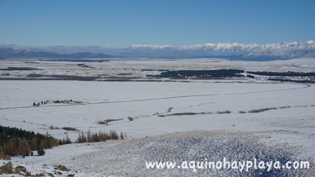 2014_07_17-179-NUEVA_ZELANDA-Tekapo-MtJohn.JPG