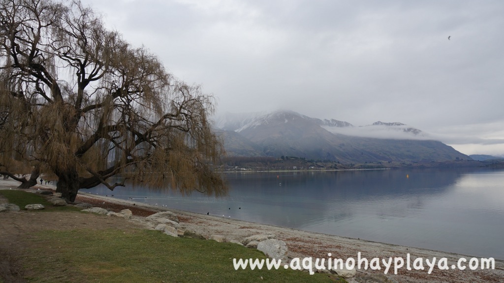 2014_07_19-250-NUEVA_ZELANDA-Wanaka.JPG