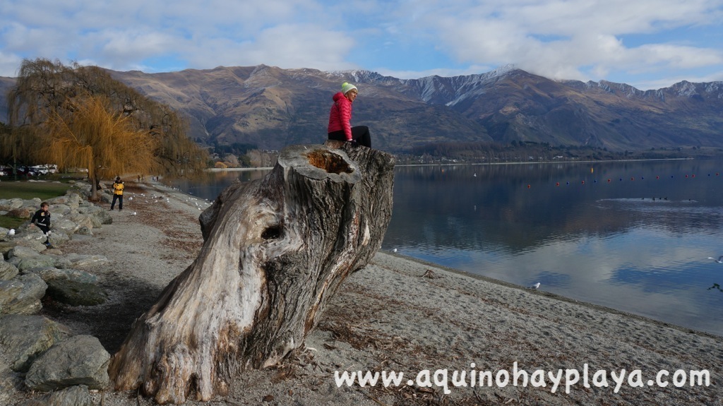 2014_07_19-252-NUEVA_ZELANDA-Wanaka.JPG