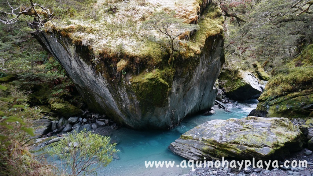 2014_07_21-290-NUEVA_ZELANDA-RobRoyGlacier.JPG