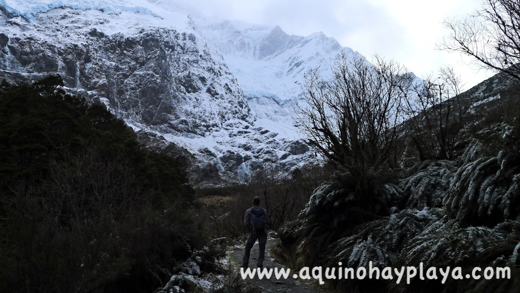 2014_07_21-293-NUEVA_ZELANDA-RobRoyGlacier.JPG