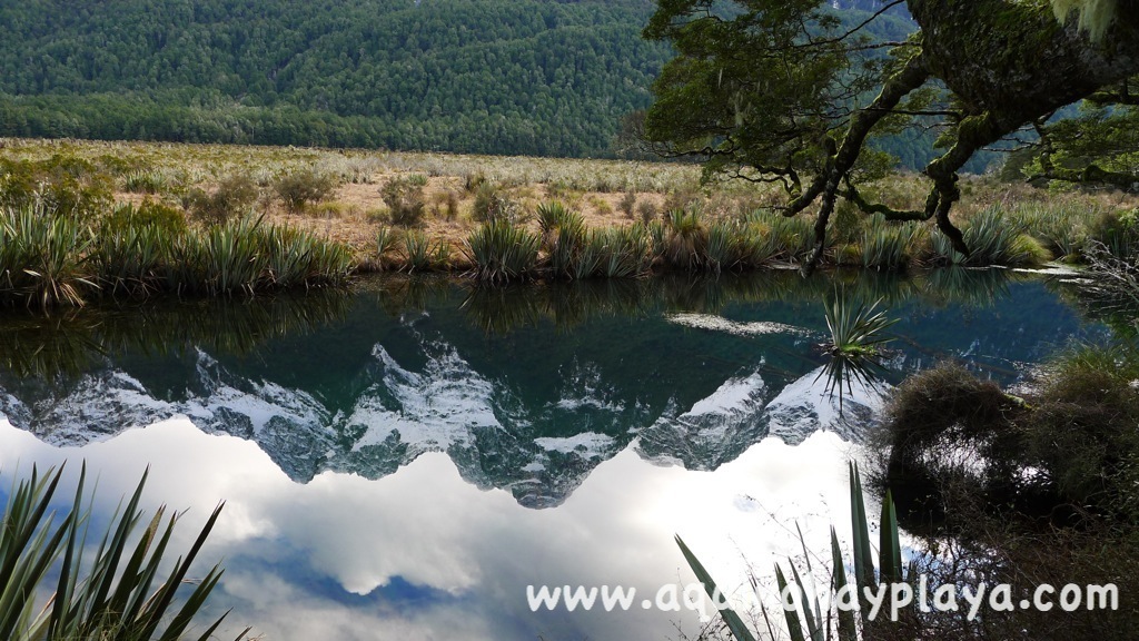 2014_07_22-317-NUEVA_ZELANDA-MirrorLakes.JPG