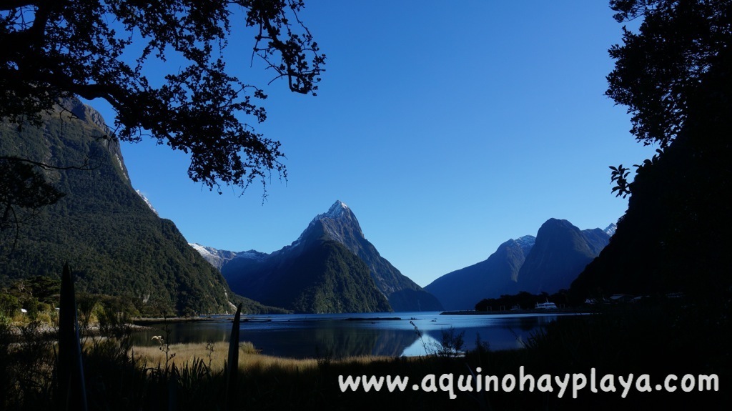 2014_07_23-354-NUEVA_ZELANDA-MilfordSound.JPG