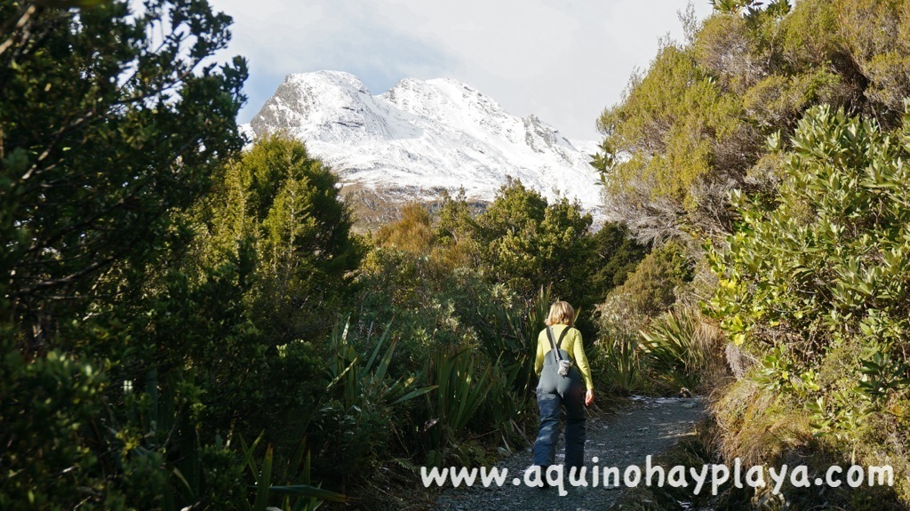 2014_07_23-360-NUEVA_ZELANDA-KeySummit.JPG