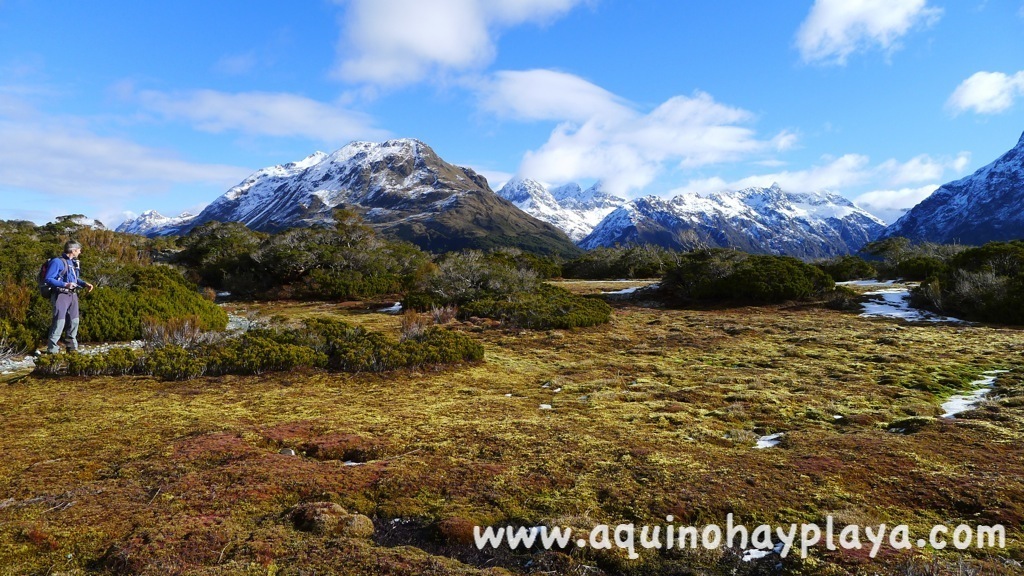 2014_07_23-367-NUEVA_ZELANDA-KeySummit.JPG