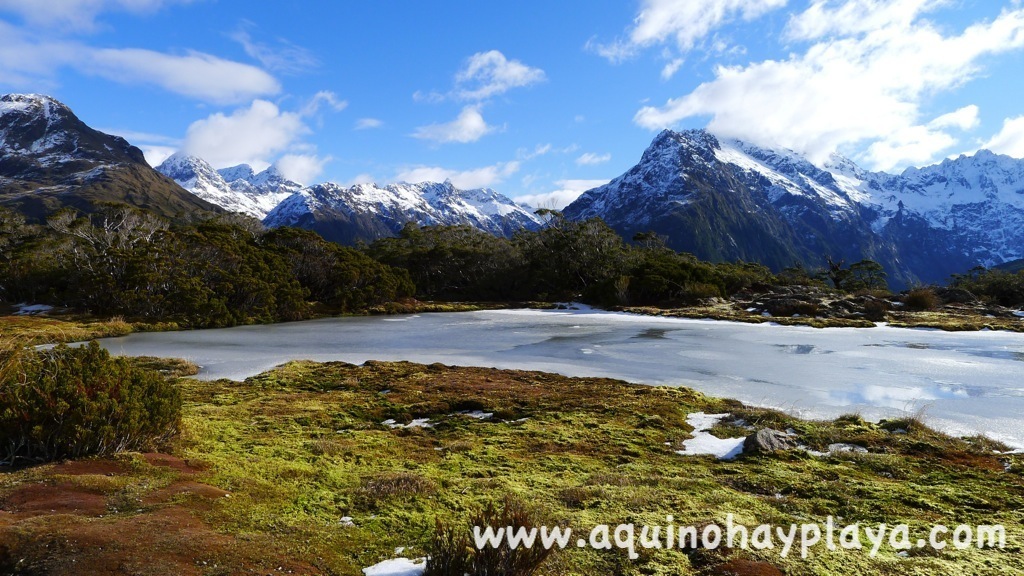 2014_07_23-369-NUEVA_ZELANDA-KeySummit.JPG