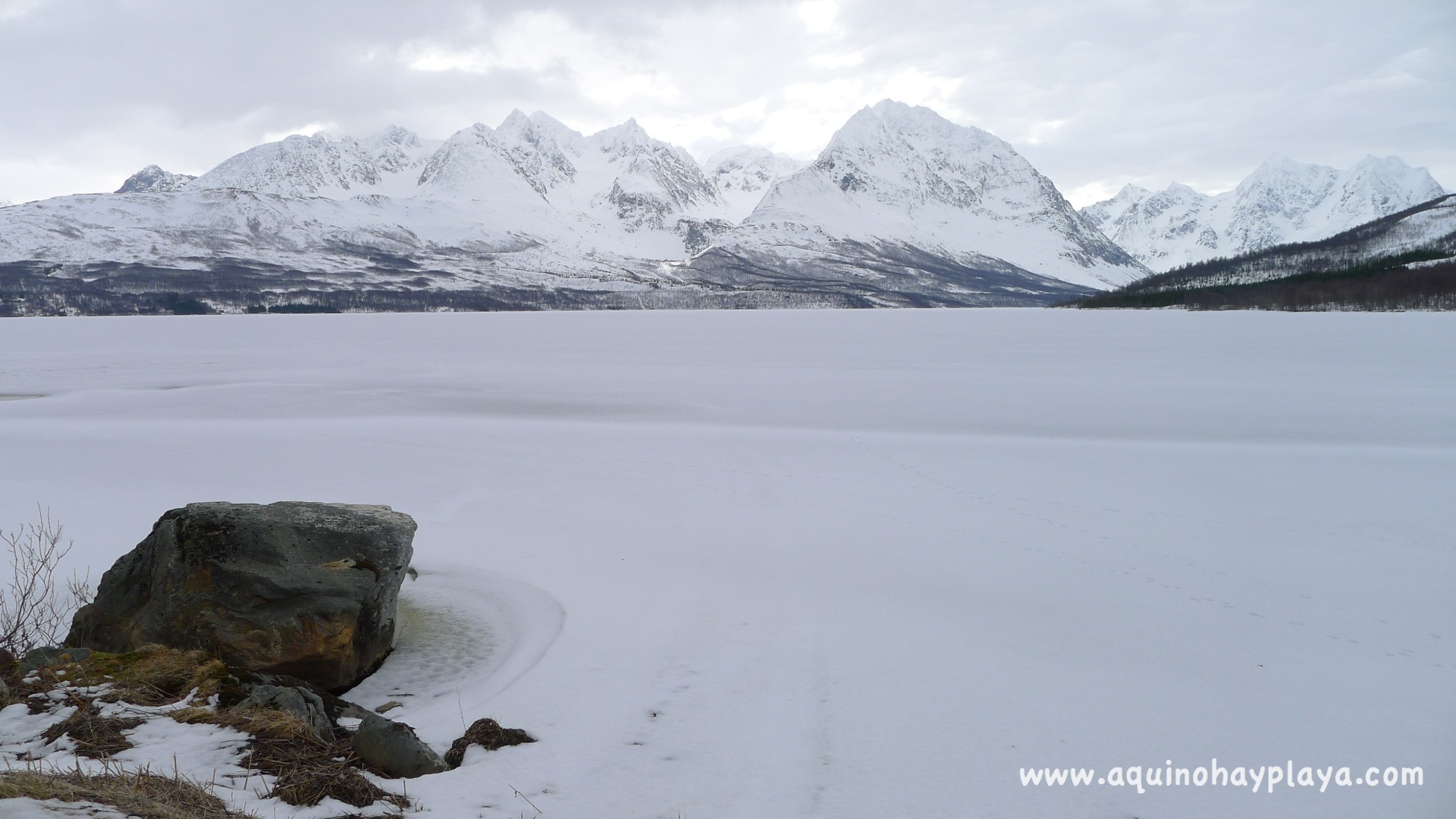 2014_04_23-121-AlpeLyngen.JPG