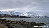 2014_04_24-140-AlpeLyngen.JPG