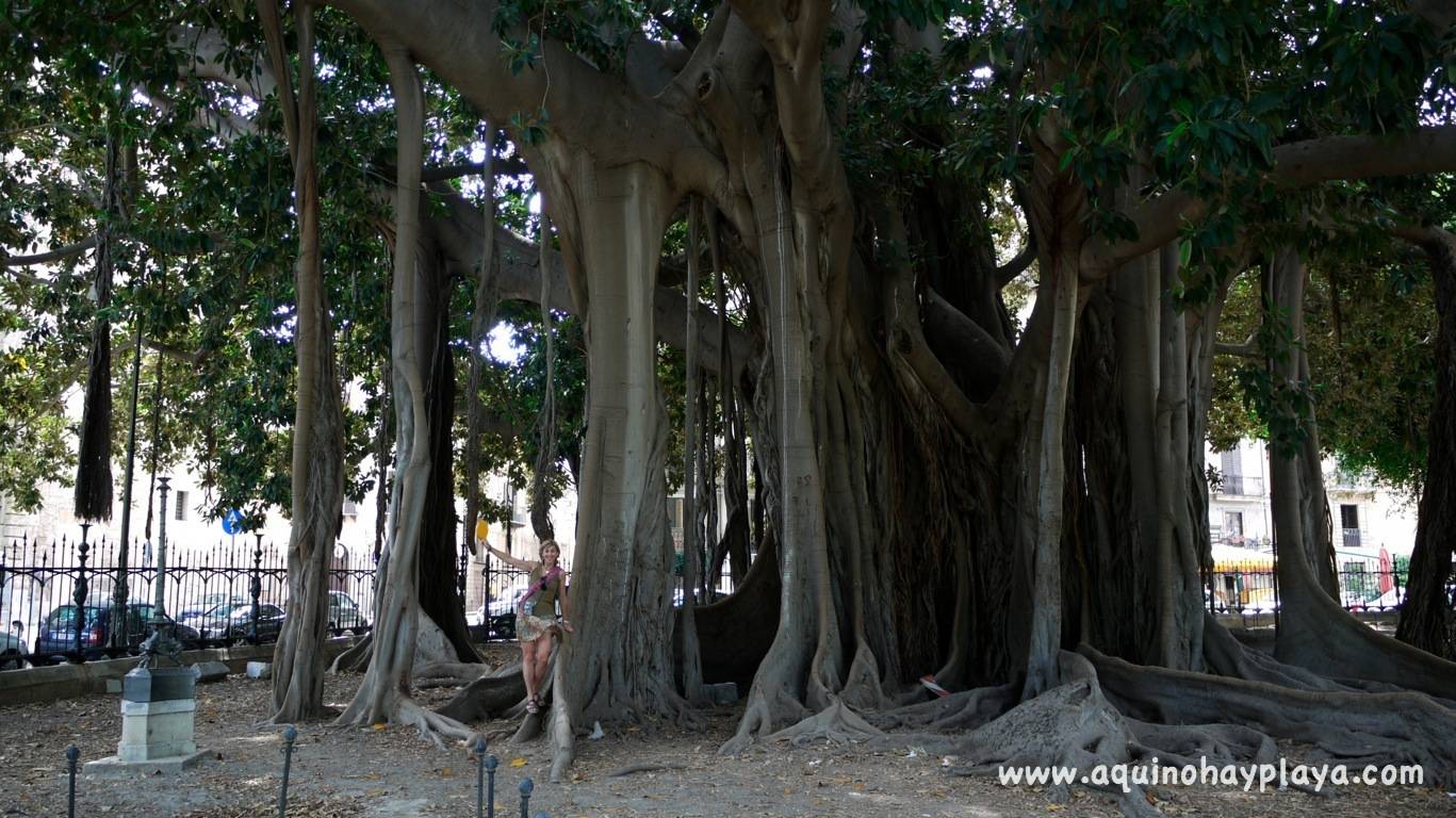 2013_07_04-011-SICILIA-Palermo.jpg