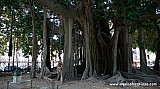 2013_07_04-011-SICILIA-Palermo.jpg