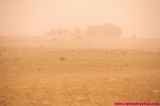 2000_04-tunez_028-desierto