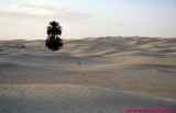 2000_04-tunez_036-desierto