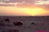 2000_04-tunez_039-desierto