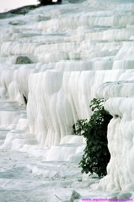 1991.07.01-TURQUIA_097-Pammukale.jpg