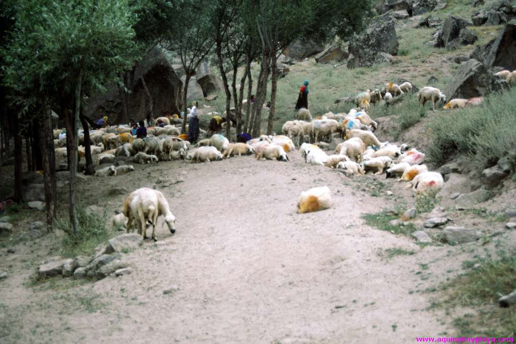 1991.07.01-TURQUIA_118-Capadocia_Illara.jpg