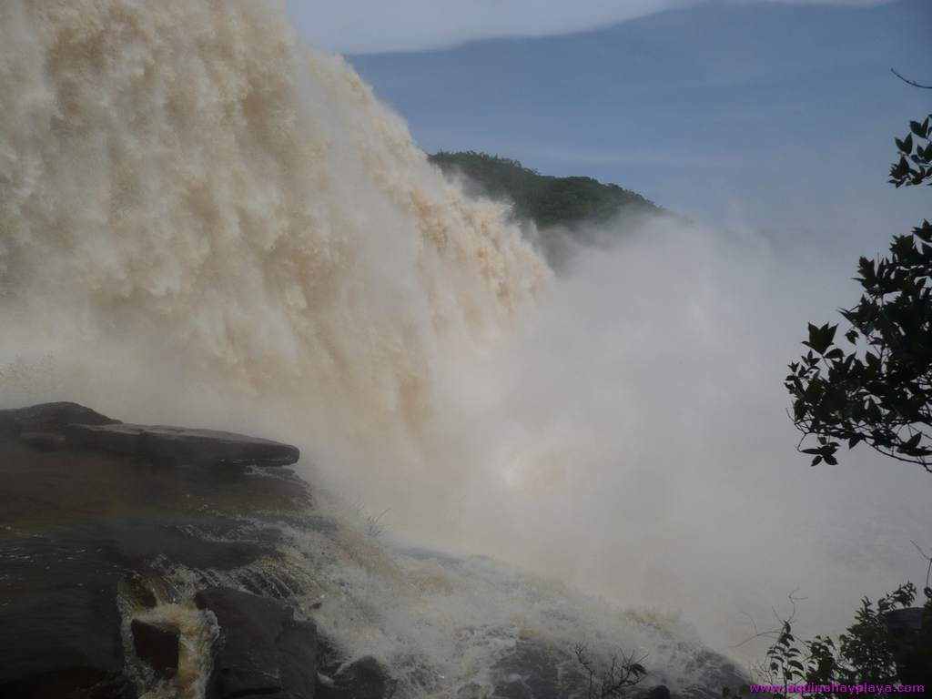 2010_07_08-VENEZUELA-065-SaltoSapo.jpg