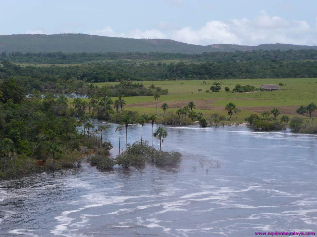 2010_07_08-VENEZUELA-069-SaltoSapo.jpg