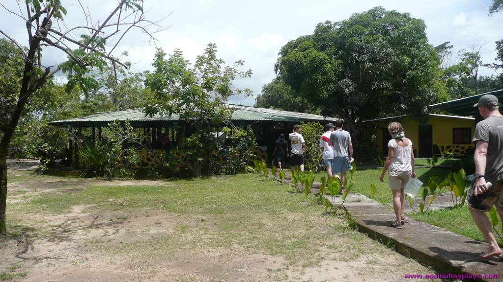 2010_07_08-VENEZUELA-078-Canaima.jpg